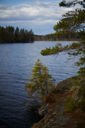 Водоем — фото 1