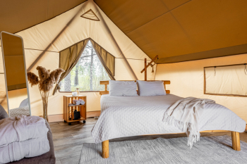 Белые ночи — фото 4