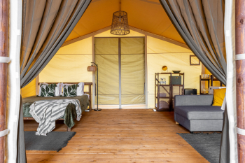 Сказочный лес — фото 2