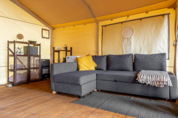 Сказочный лес — фото 1