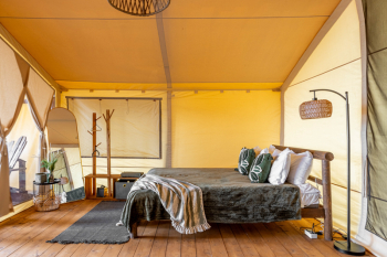 Сказочный лес — фото 3