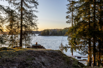 Сказочный лес — фото 6