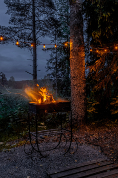 Сказочный лес — фото 9