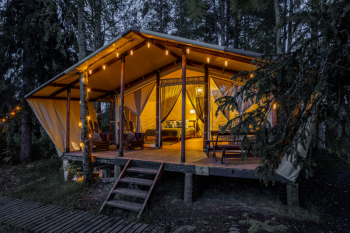 Сказочный лес — фото 11