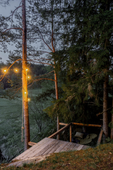 Сказочный лес — фото 12