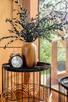 Лунный свет  — фото 7