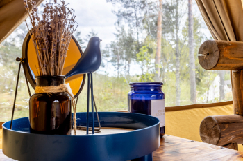 Северное сияние — фото 4