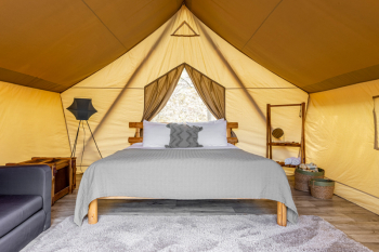 Звездная пыль — фото 7