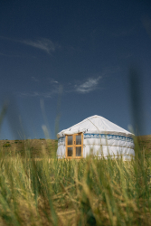 Костровая зона — фото 1