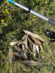 Рыбалка — фото 1