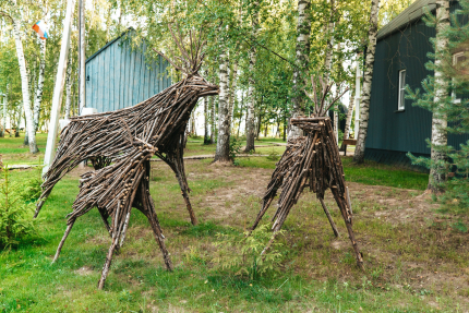 Стрелка — фото