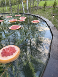 Горячий чан — фото 2