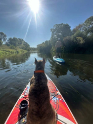 SUP-серф — фото 2