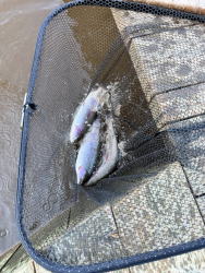 Рыбалка — фото 1