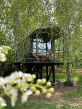 Домик на дереве — фото 1