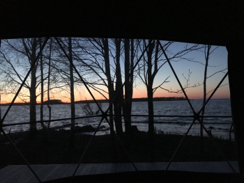 VIP-сфера — фото 6