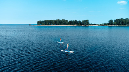 Ветрено — фото