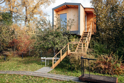 Дом на дереве — фото