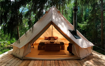 Сафари-хаус — фото 2