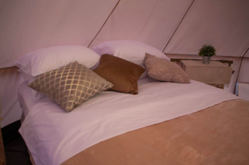 Сафари-хаус — фото 4