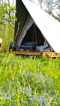 Призма — фото 1