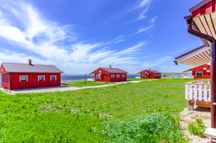 Золотое — фото