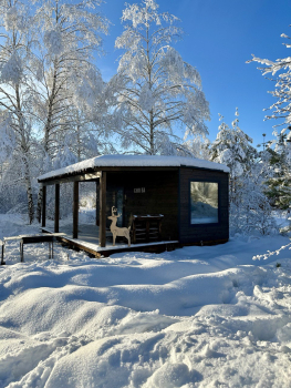 Дом у сосны — фото 1