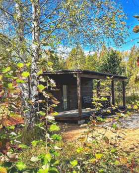 Дом у сосны — фото 3