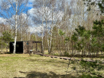 Дом у сосны — фото 10