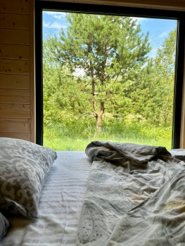 Дом у сосны — фото 5