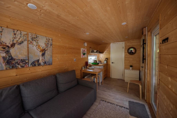 Шампань (заезд 16-00 / выезд 14-00) — фото 11