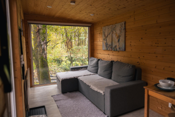 Шампань (заезд 16-00 / выезд 14-00) — фото 10