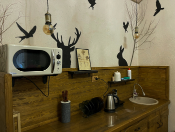 Дом №3 Форест Люкс — фото 6