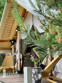 Standart — фото 4