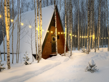 Жёлтый домик — фото 4