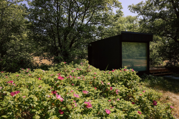 Малый Хитте с террасой и панорамным окном | красивый вид на зеленую территорию — фото 2