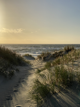 Викингуд — фото