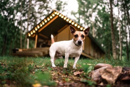 Удачное — фото