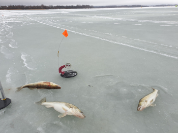 Гостевой дом для 8-10 человек — фото 10