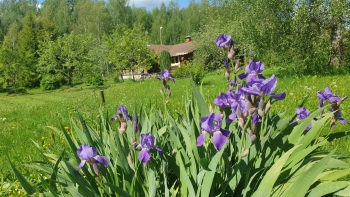 Гостевой дом для 8-10 человек — фото 9