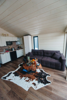 Дом «НОСОРОГ» — фото 2