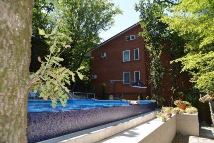 Море на ладони — фото