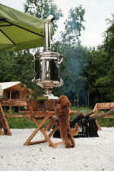 Костровая зона — фото 1