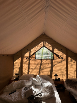 Лесной сафари-тент (гипоаллергенный) — фото 4