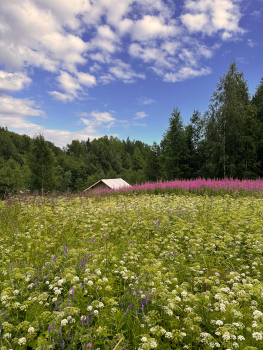 Сафари-тент с горячим чаном — фото 4
