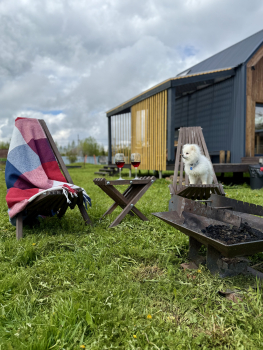 Стандарт — фото 1