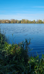 Водоем — фото 2