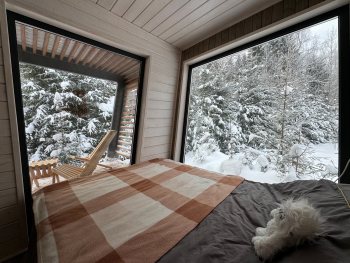 Домик в сказочном лесу — фото 4