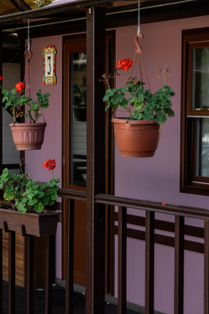 3-местный домик без удобств — фото 6