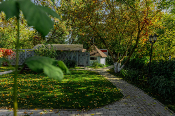 Место под палатку — фото 1